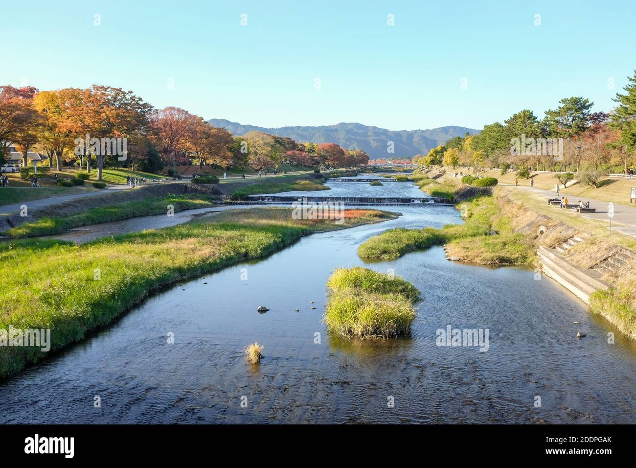 Kamogawa (fiume Kamo) a Kyoto, in Giappone. Foto Stock