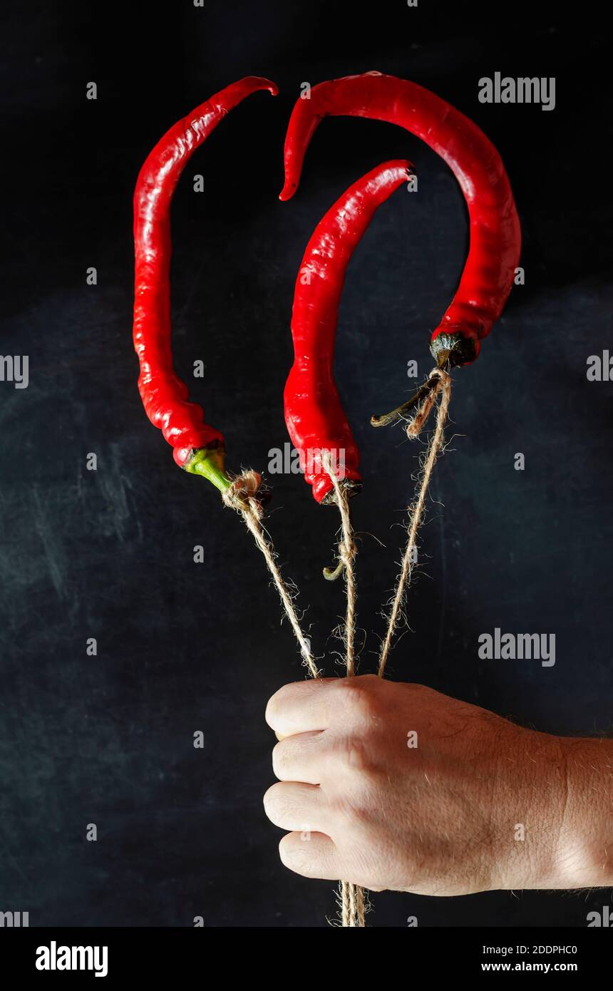 Peperoni creativi Bouquet Chili in mano di un uomo su sfondo nero. Tre peperoncini rossi con spilla legata. Foto Stock