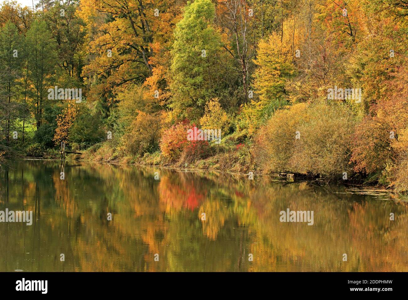 Umore autunnale in un lago, Germania, Baden-Wuerttemberg Foto Stock