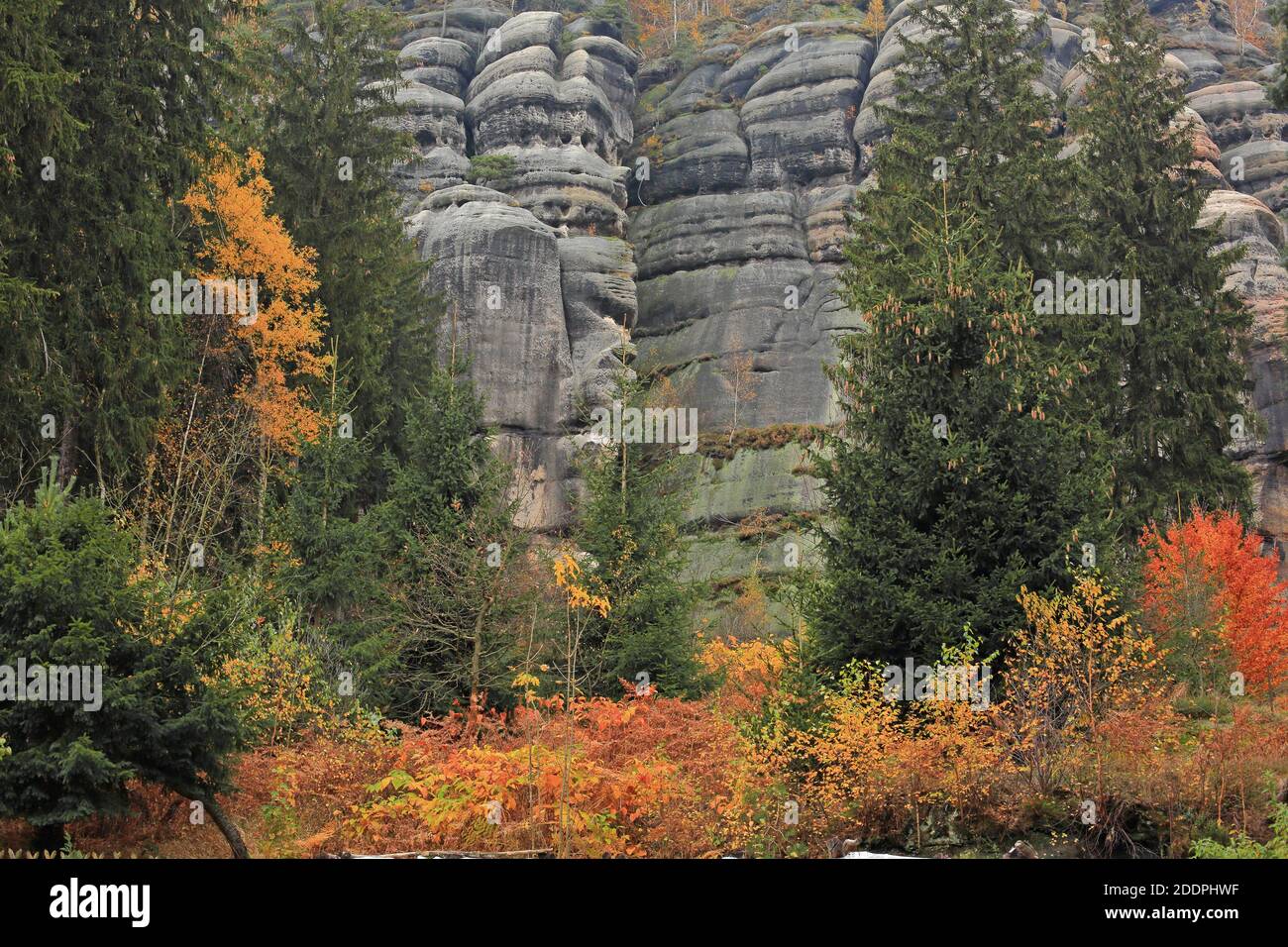 Formazione rocciosa Kelchsteine nei Monti Zittau, Germania, Sassonia, Oybin Foto Stock