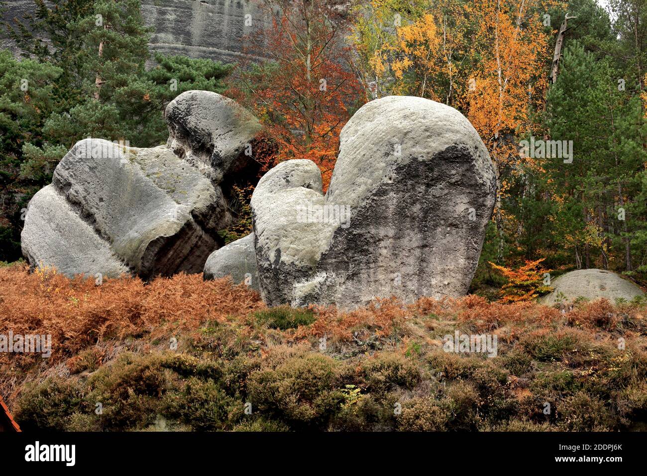 Rocce di arenaria nei pressi di Oybin nelle montagne Zittau, Germania, Sassonia, Oybin Foto Stock