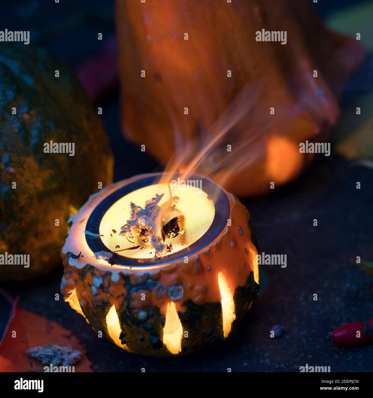 Fumare con erbe aromatiche in una zucca con una luce del tè, Germania Foto Stock