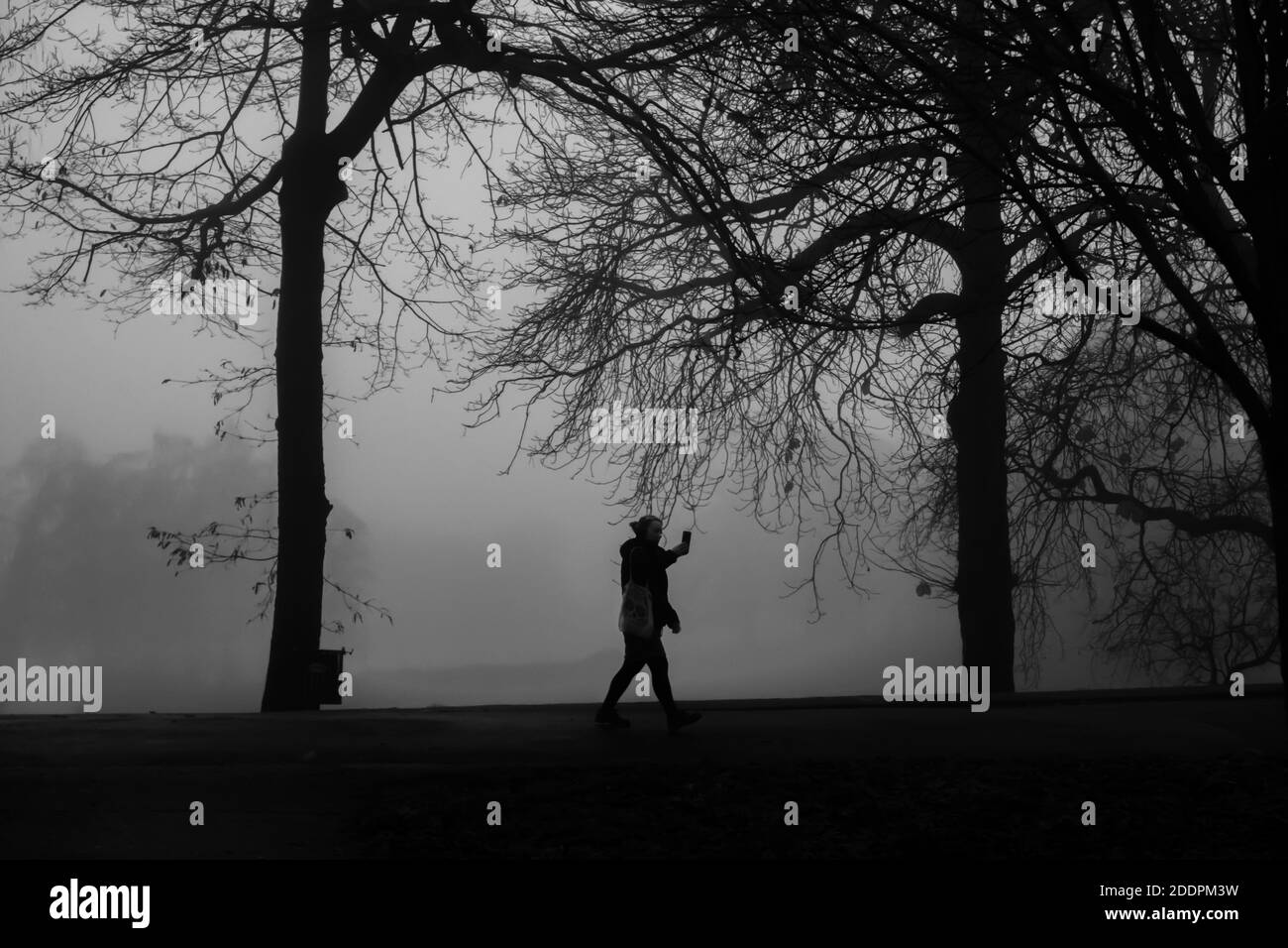 Glasgow, Scozia, Regno Unito. 26 Novembre 2020. Tempo nel Regno Unito: Silhouette nel Queen's Park in una mattina foggy. Credito: SKULLY/Alamy Live News Foto Stock