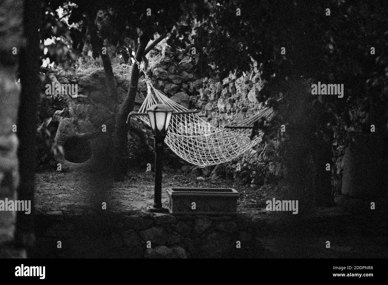 Amaca vuota nel giardino estivo. Luogo di riposo Foto Stock