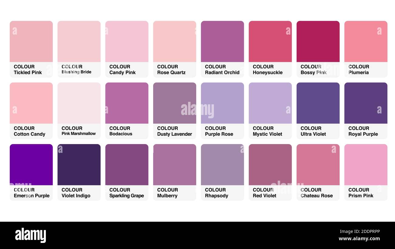 Catalogo colori palette Rosa Viola campioni Vector in RGB Illustrazione Vettoriale