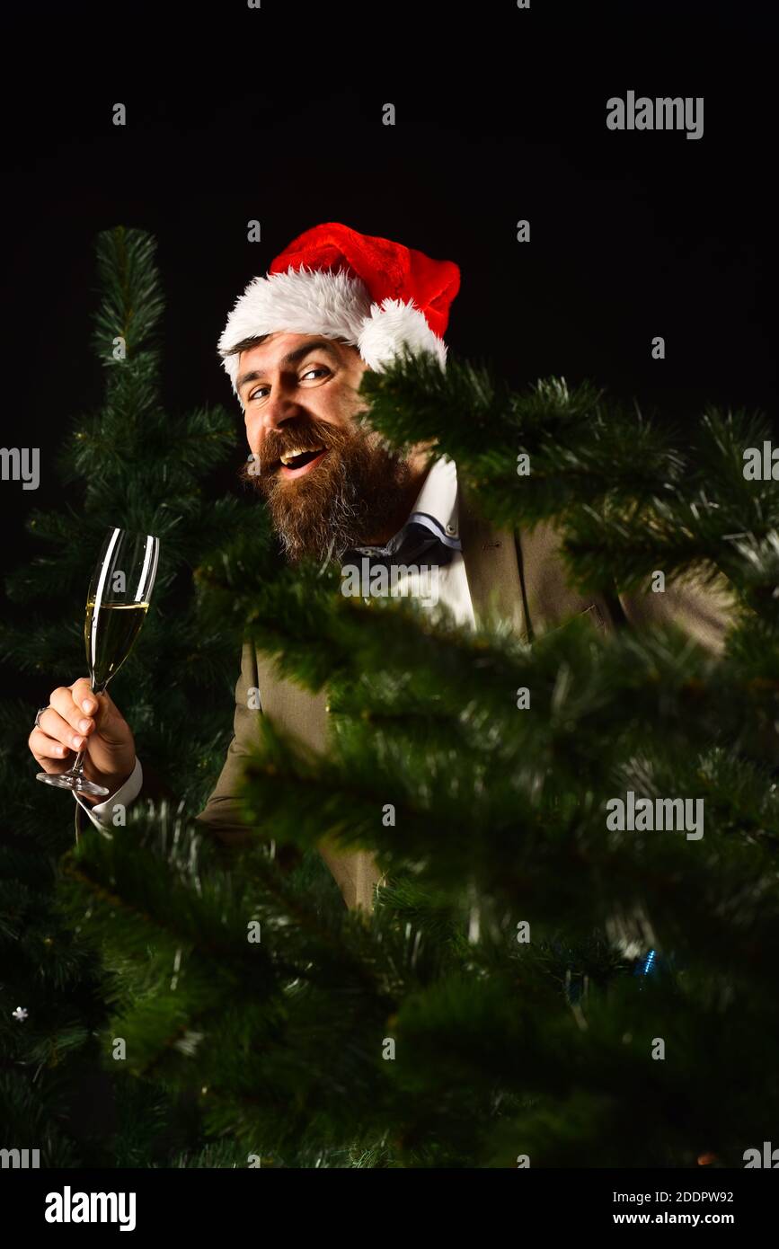 Manager con la barba si nasconde dietro bald albero di Natale. Imprenditore  con faccia allegra detiene il bicchiere di champagne. Celebrazione della  Messa di Natale del concetto. Uomo in smart vestito e