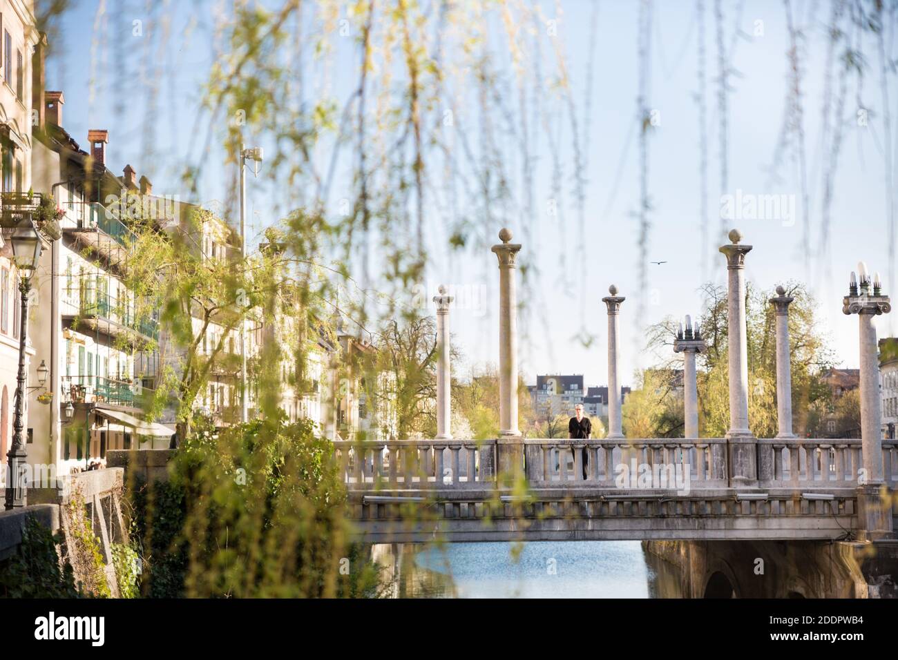 Unica arhitecture Plecnik del ponte di Cobblers visto attraverso i rami salici nel centro storico medievale della città di Lubiana, Slovenia Foto Stock