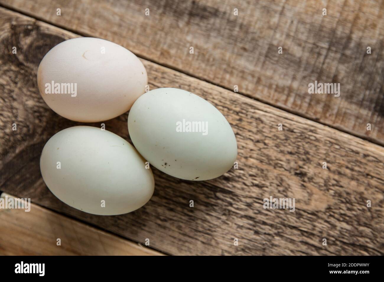 Tre, uova d'anatra di gamma libera comprate fuori di una fattoria da una scatola di onestà. Inghilterra GB Foto Stock
