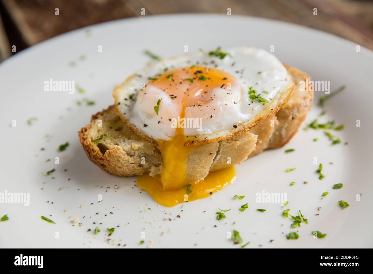 Un uovo d'anatra libero gamma acquistato da una scatola di onestà fattoria che è stato fritto e servito su pane di pasta di origine fatta in casa. Condito con pepe nero e garni Foto Stock