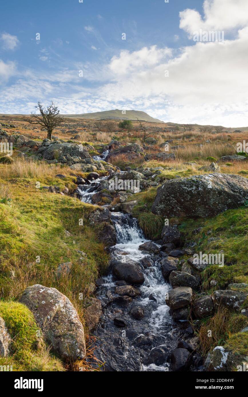 Un affluente di Long House Gill nella Duddon Valley sotto White Pike nel Lake District National Park, Cumbria, Inghilterra. Foto Stock