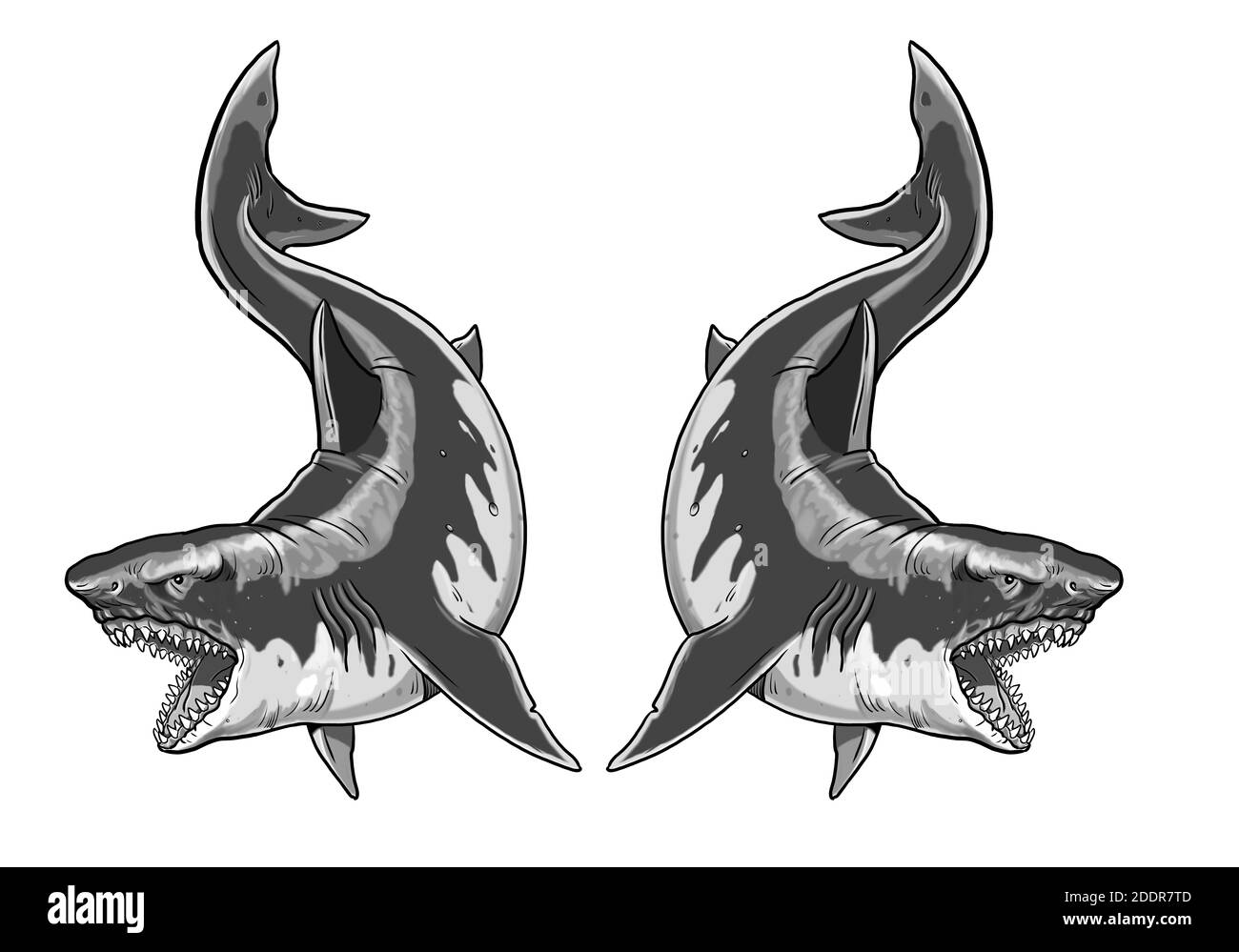 Tigre gigante e squali bianchi. Grande disegno di squalo. Monster megalodon illustrazione. Foto Stock