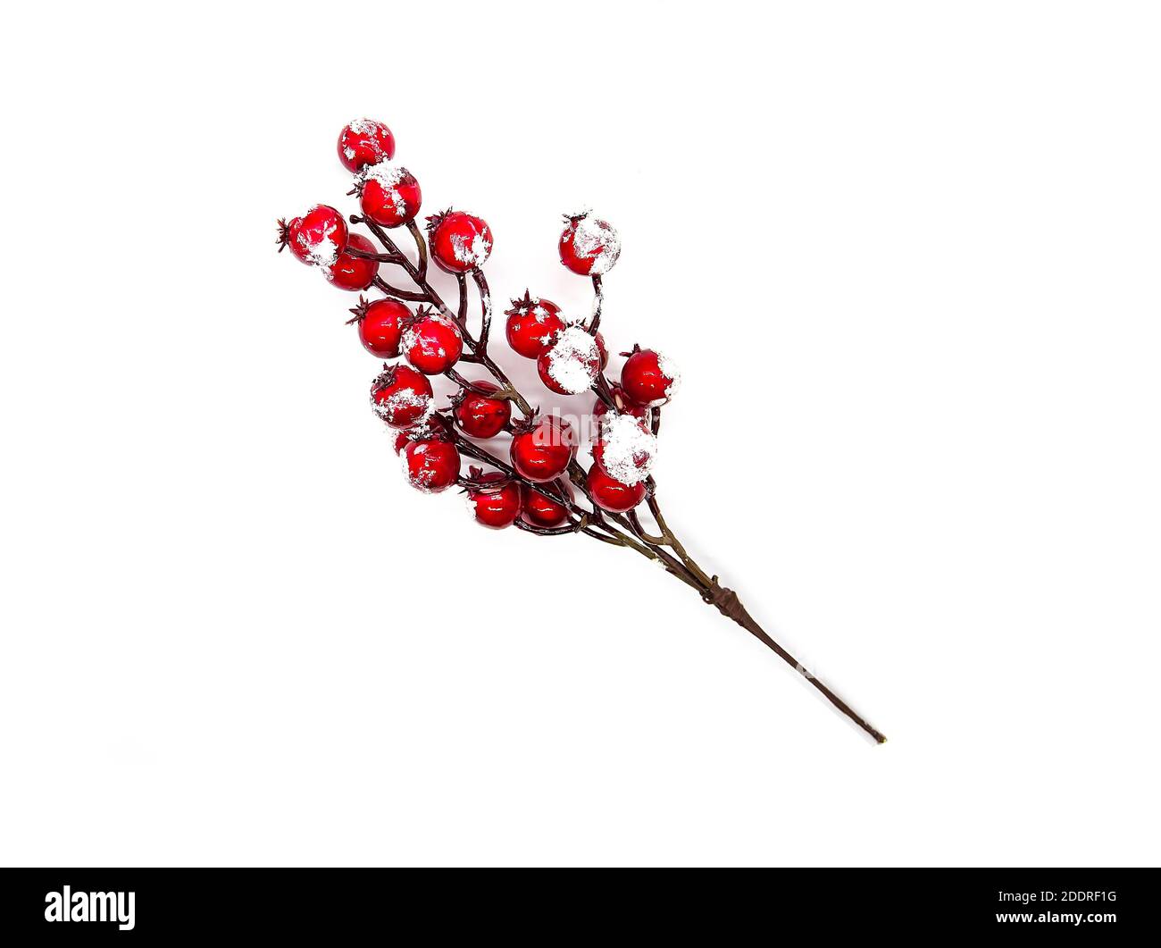 Capodanno festivo o sfondo natalizio con acini rossi nella neve. Foto Stock