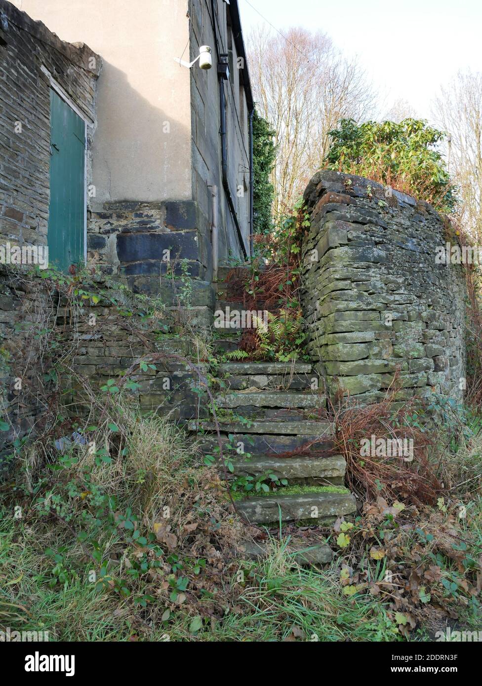 Scalini di pietra stretti sopravcrescita che conducono fino a cottage abbandonato con alta parete di pietra a destra e magra con verde porta sul lato sinistro Foto Stock