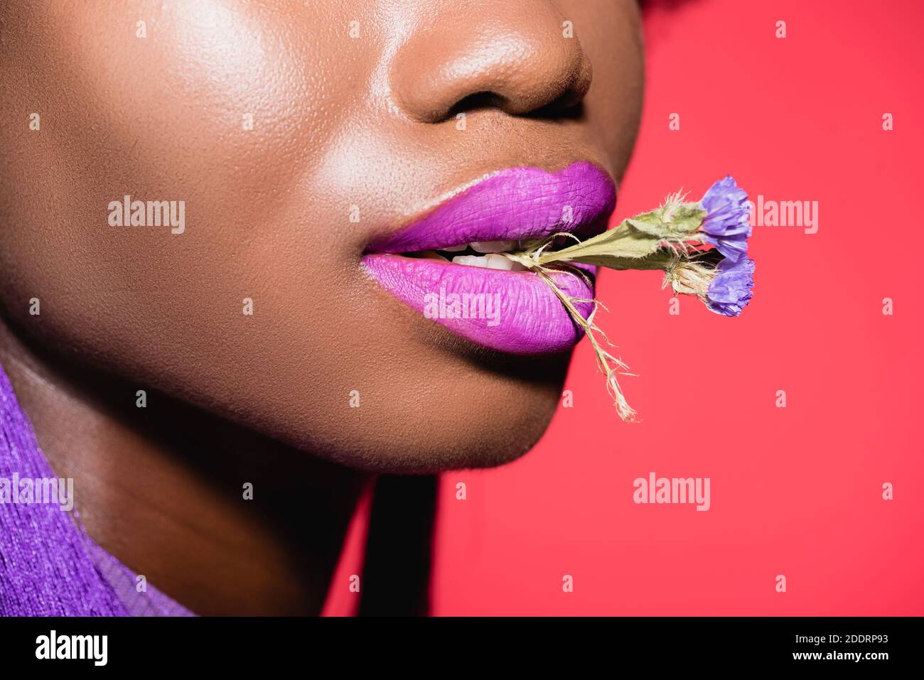 vista tagliata della giovane donna afroamericana con fiore dentro bocca  isolata in rosso Foto stock - Alamy