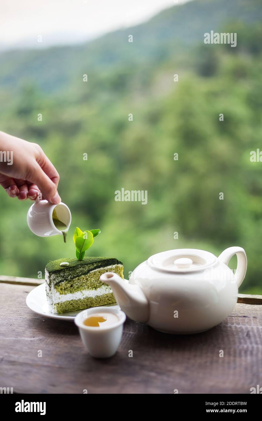 donna asiatica mano con una tazza di tè su legno tavolo di fronte alla bella piantagione di tè e montagna nel ora del mattino Foto Stock