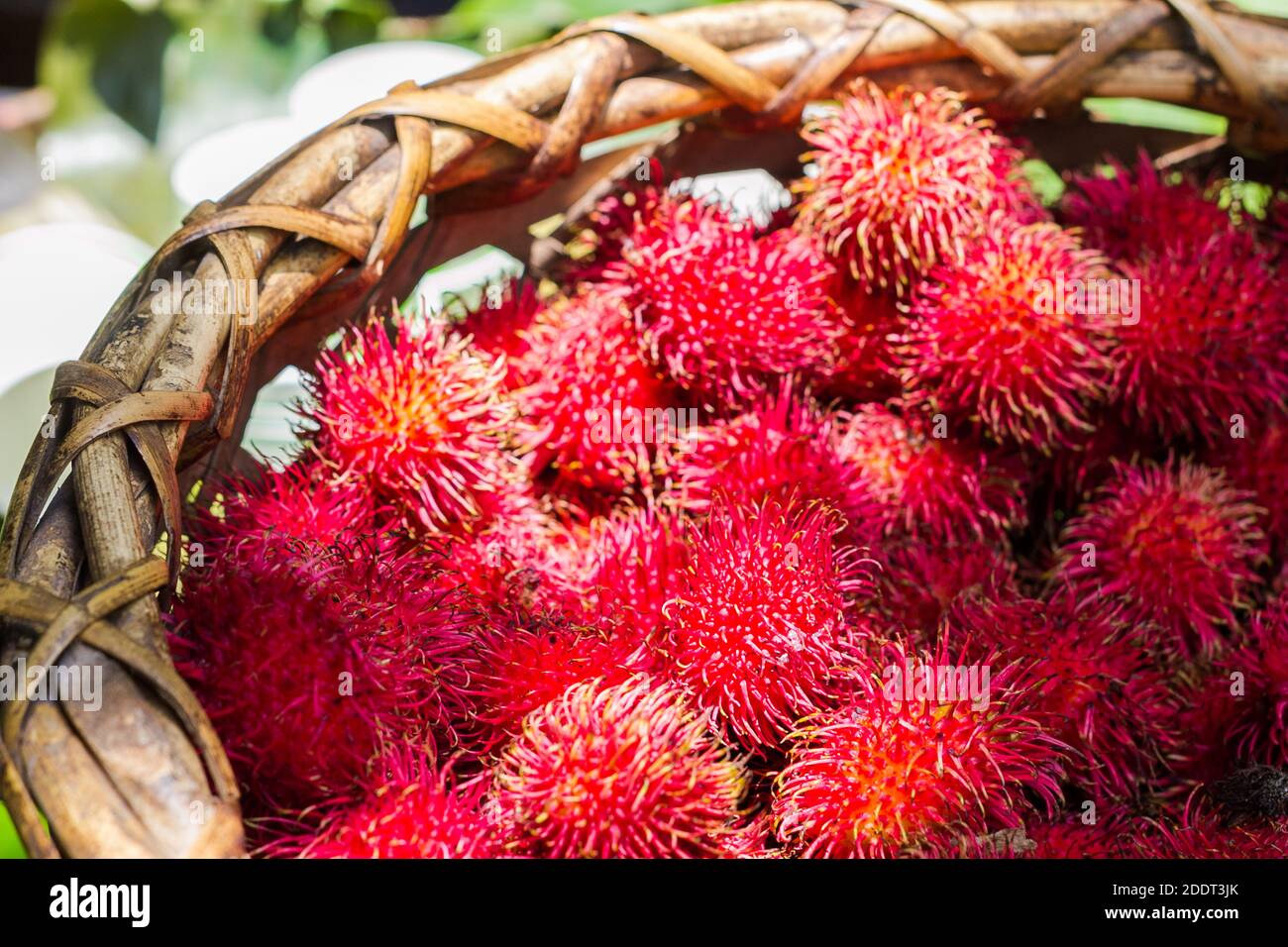 Frutta fresca di rambutan all'interno di un cesto autoctono venduto in un mercato locale di Quezon, Filippine Foto Stock