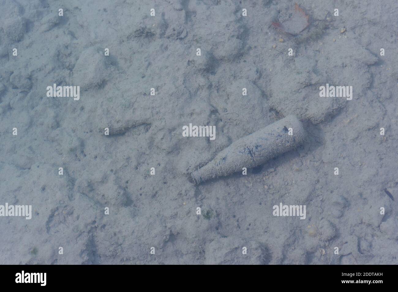 Bottiglia di vetro di scarico sull'acqua di un lago, di un laghetto o di un fiume, contaminando e avvelenando l'ambiente. Foto Stock