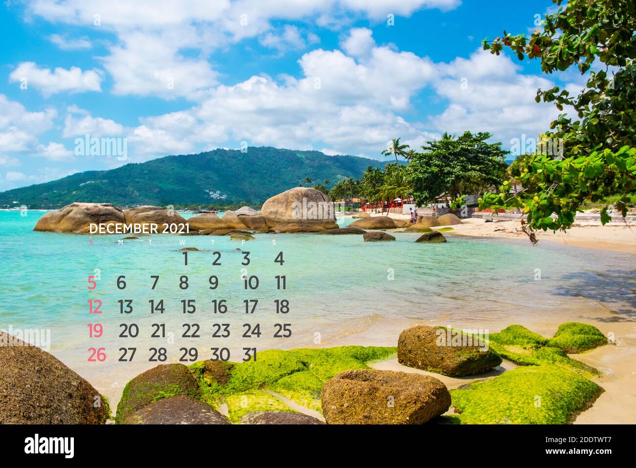 Calendario Dicembre 2021. Mare, oceano, spiaggia, tropicale, tema natura. A2. 60 x 40 cm. 15.75 x 23.62 pollici Foto Stock