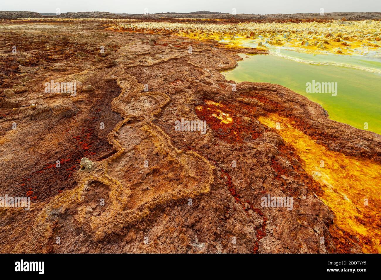 Dallol zolfo o zolfo sorgenti e piscine e formazioni rocciose nella depressione Danakil in Afar, Etiopia Foto Stock