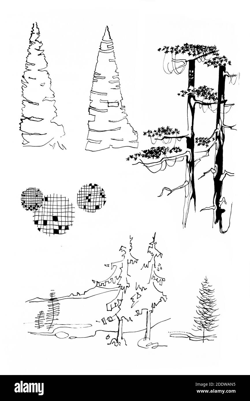 Vecchi alberi di stilizzazione disegnando lineart di inchiostro Foto Stock