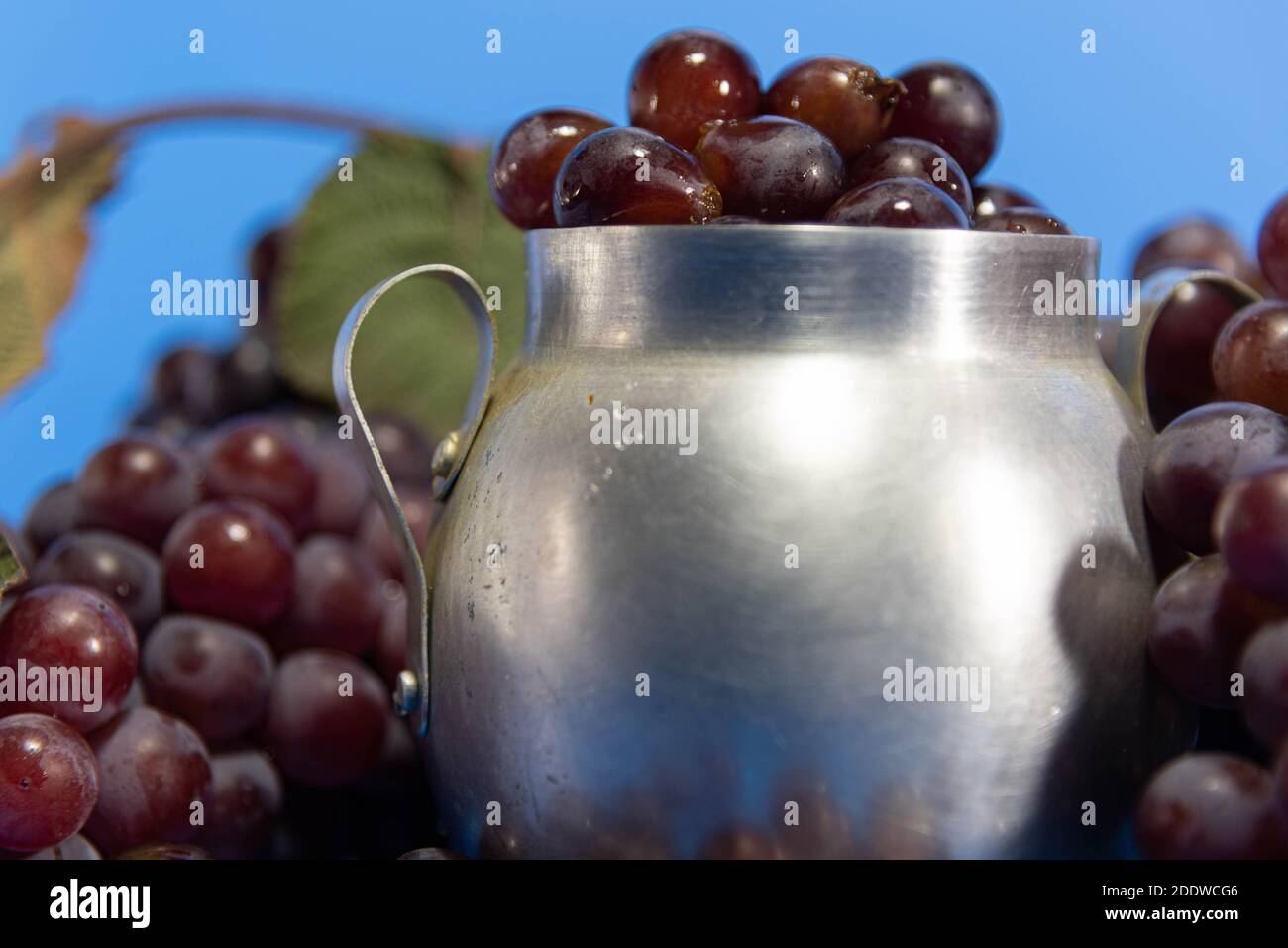 Frutta e bacche d'uva fresche. Sfondo blu . Ingrediente per succhi e vino. Bacche d'uva in alluminio. Foto Stock