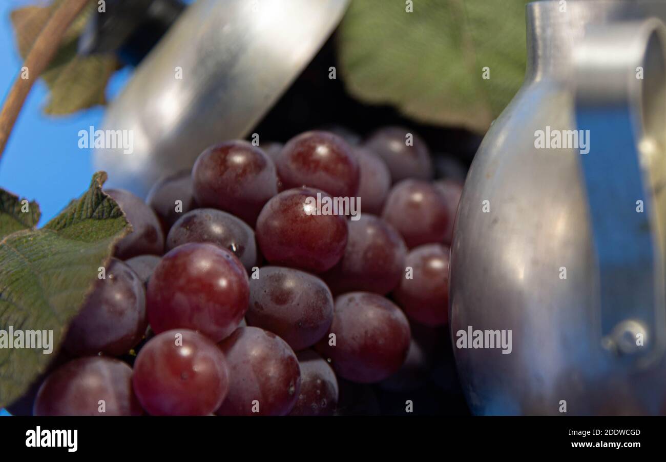 Frutta e bacche d'uva fresche. Sfondo blu . Ingrediente per succhi e vino. Bacche d'uva in alluminio. Foto Stock