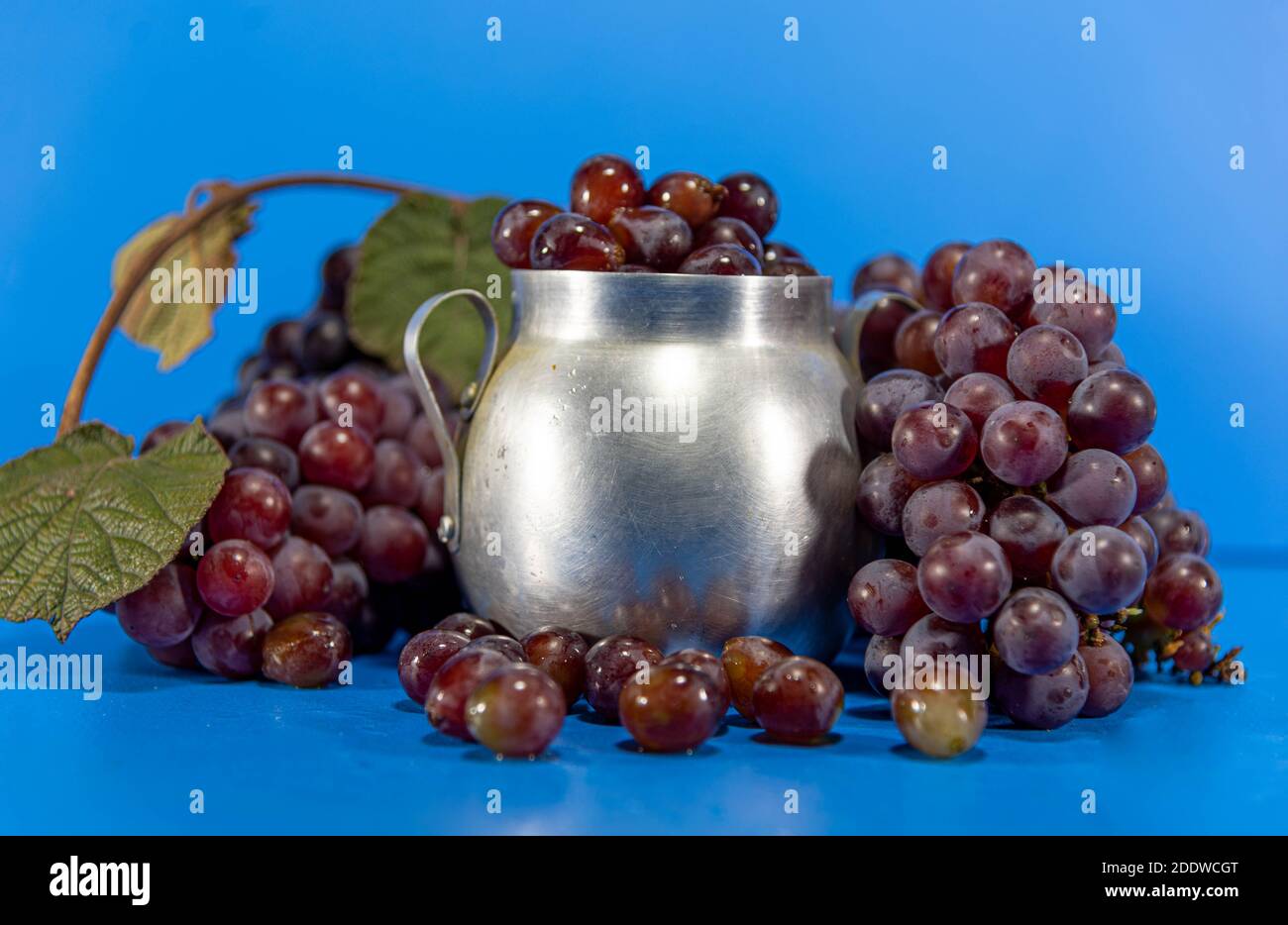 Frutta d'uva. Ingrediente per succhi e vino. Bacche di uva in contenitore di alluminio. Sfondo blu. Cibo umano Foto Stock