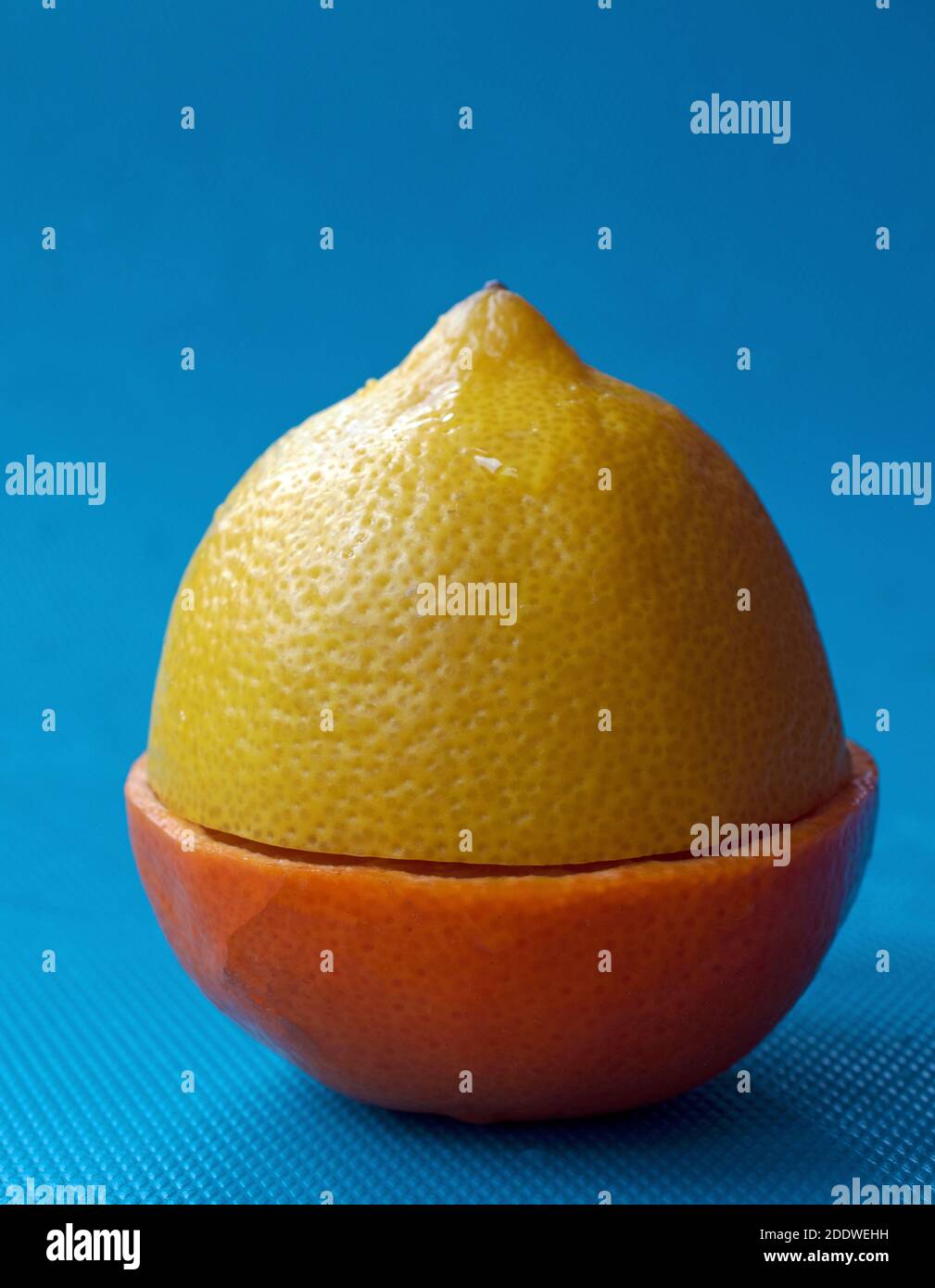 Discordanza di agrumi - limone e mandarino si sono mescolati insieme Foto Stock