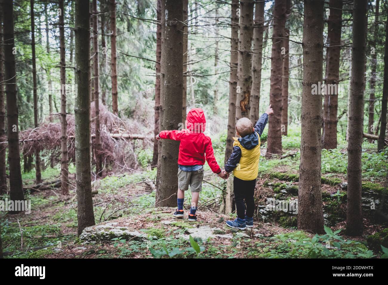 Due bambini insieme per mano nella foresta - due fratelli che camminano nella foresta sul sentiero, fratelli stretta mani, vista posteriore Foto Stock