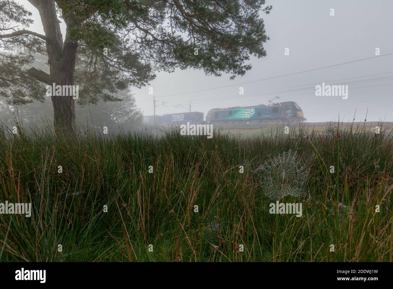 Locomotiva DRS classe 88 che passa una rete di ragni nella nebbia sulla linea principale della costa occidentale nella campagna nella Cumbria rurale con un treno merci. Foto Stock