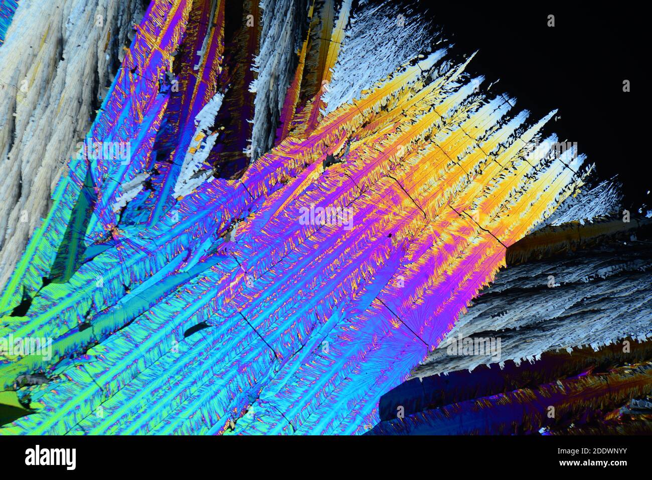 Cristalli di cumarina al microscopio con luce polarizzata Foto stock - Alamy