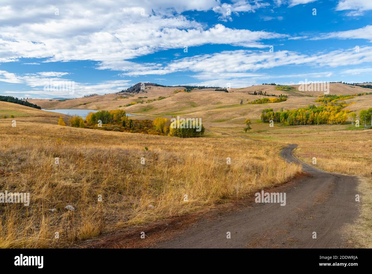 Una strada sterrata si piega tra colline ricoperte di erba gialla e alberi, un lago sullo sfondo. Foto Stock