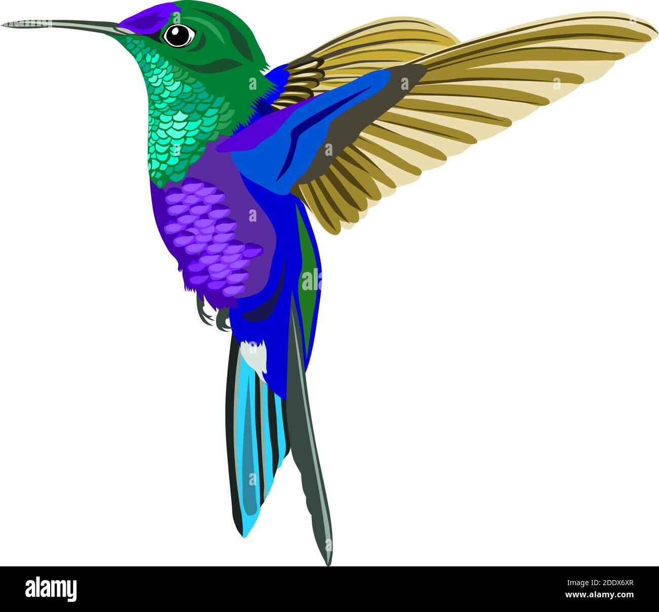 vettore di un uccello che cita in volo Illustrazione Vettoriale