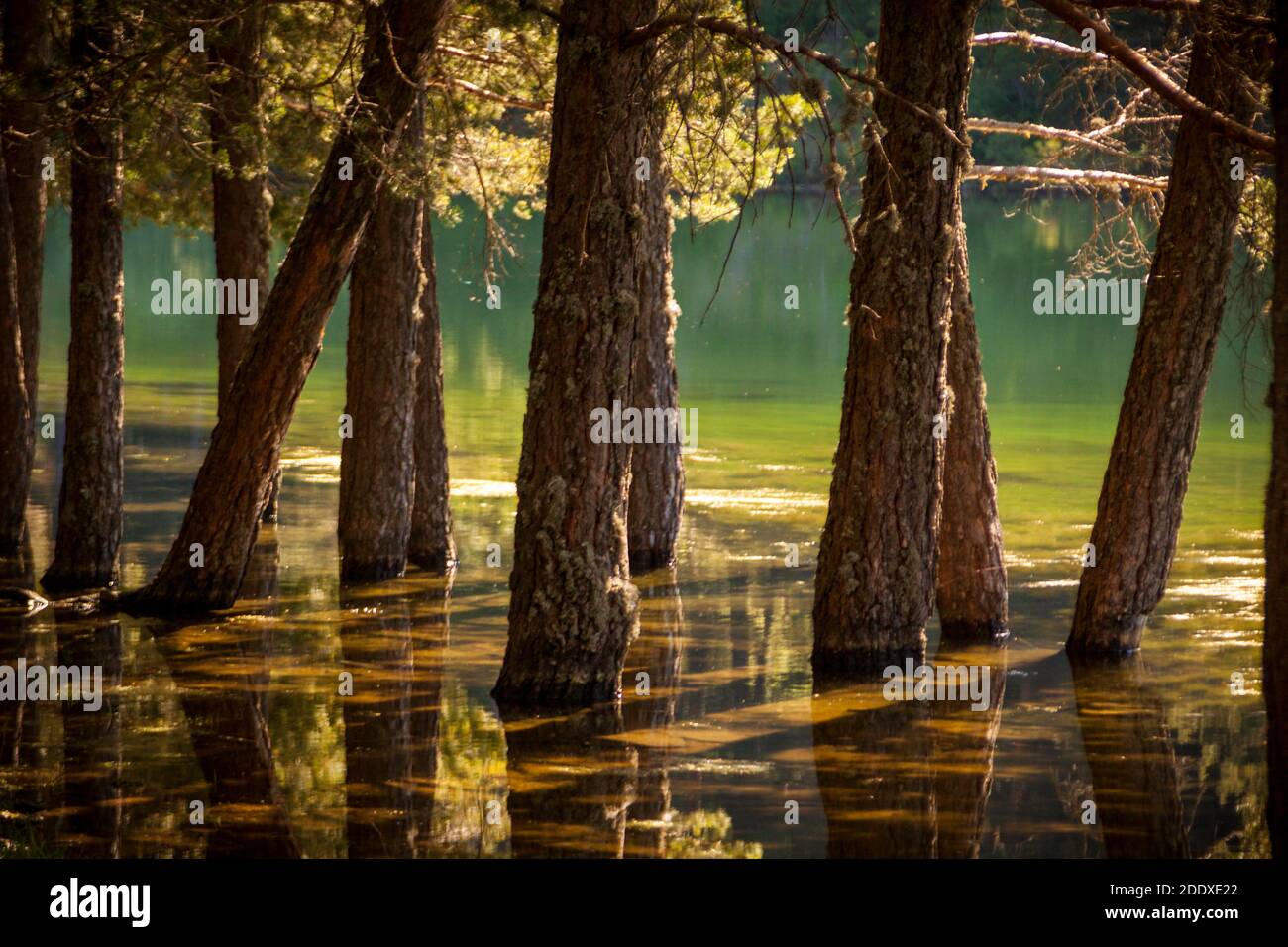 Percorso attraverso la gola del fiume Moros, un lago con acque turchesi in cima alla montagna. Nel Parco Nazionale della Sierra de Guadarrama, El Espinar Foto Stock