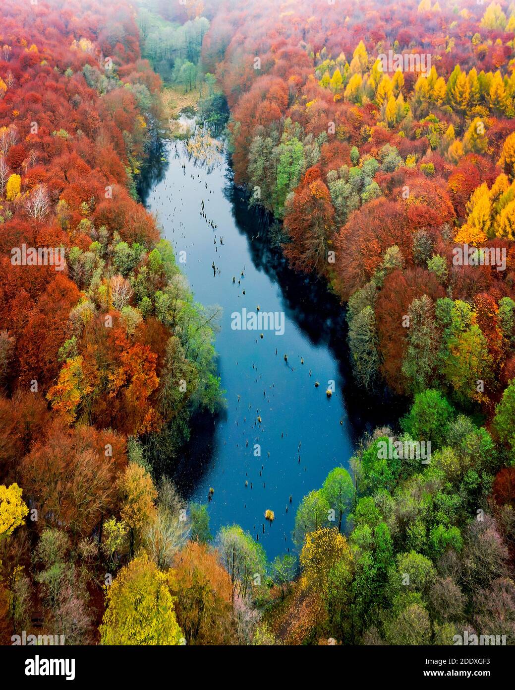 Lago unico in Ungheria che il nome è il lago Hubertlaki. Sembra un lago killer rumeno, ma. Fantastica vista cinematografica nell'autunno 2020. Non ci sono othe Foto Stock