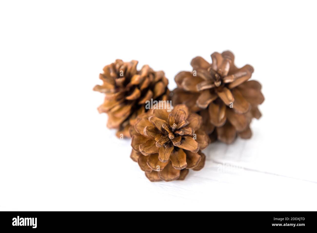 Secchi piccoli bellissimi coni di pino marrone naturale per la decorazione di Natale su sfondo di legno bianco Foto Stock