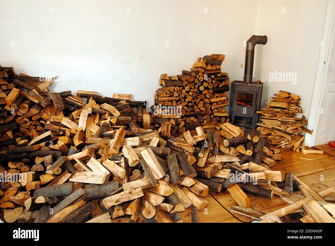 accatastati tronchi o legna da ardere, una risorsa di energia rinnovabile per il riscaldamento Foto Stock