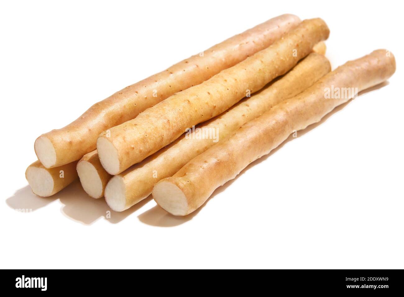 Yam, yam di ferro, medicina di erbe cinese Foto Stock