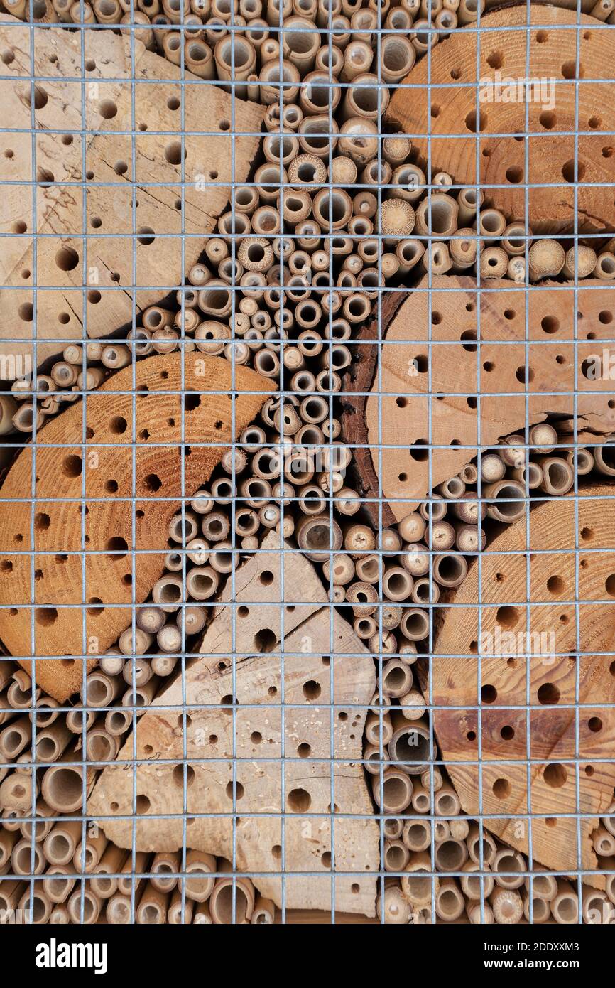 Dettaglio di un hotel per insetti fatto di legno e bambù Foto Stock