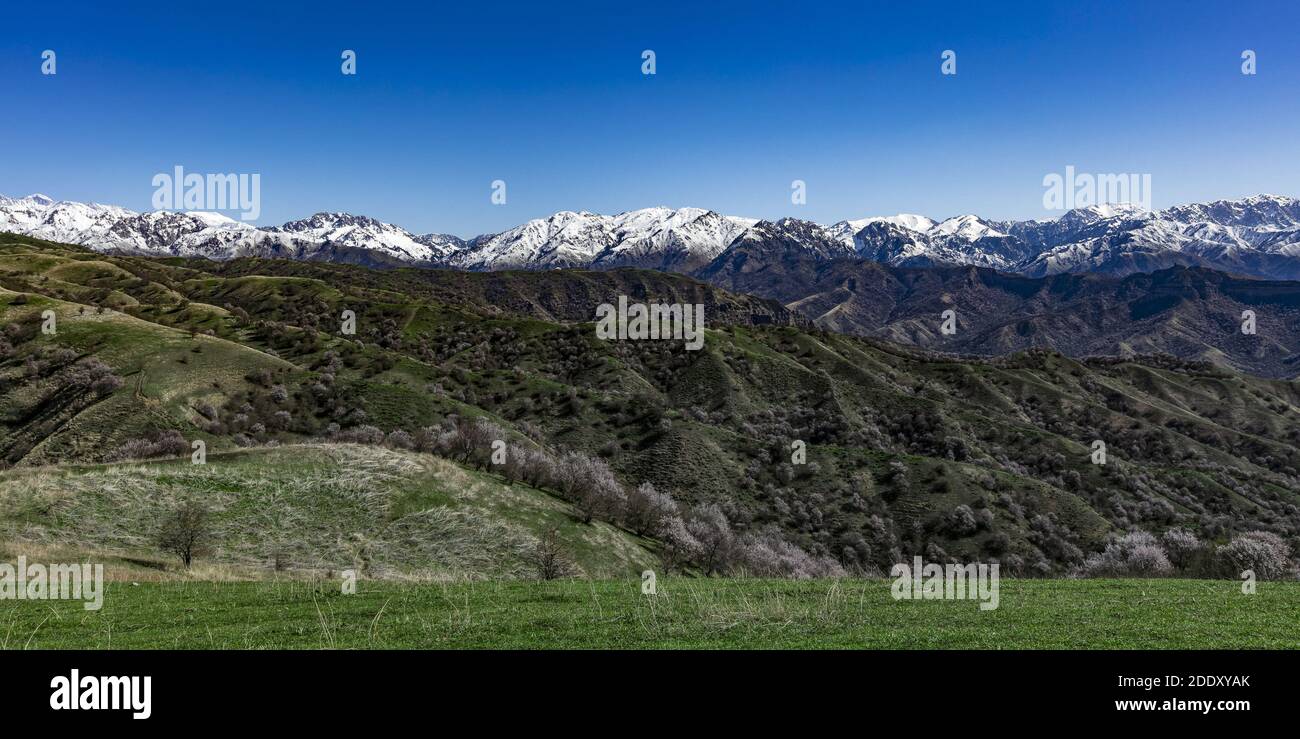 Lo scenario nello Xinjiang Foto Stock