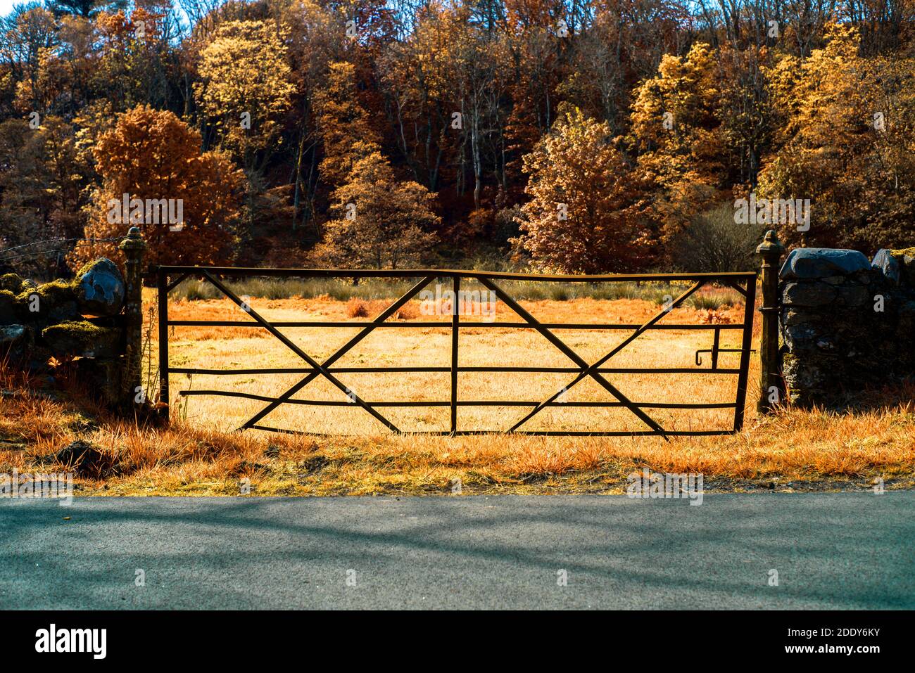 Porta gialla a infrarossi Foto Stock