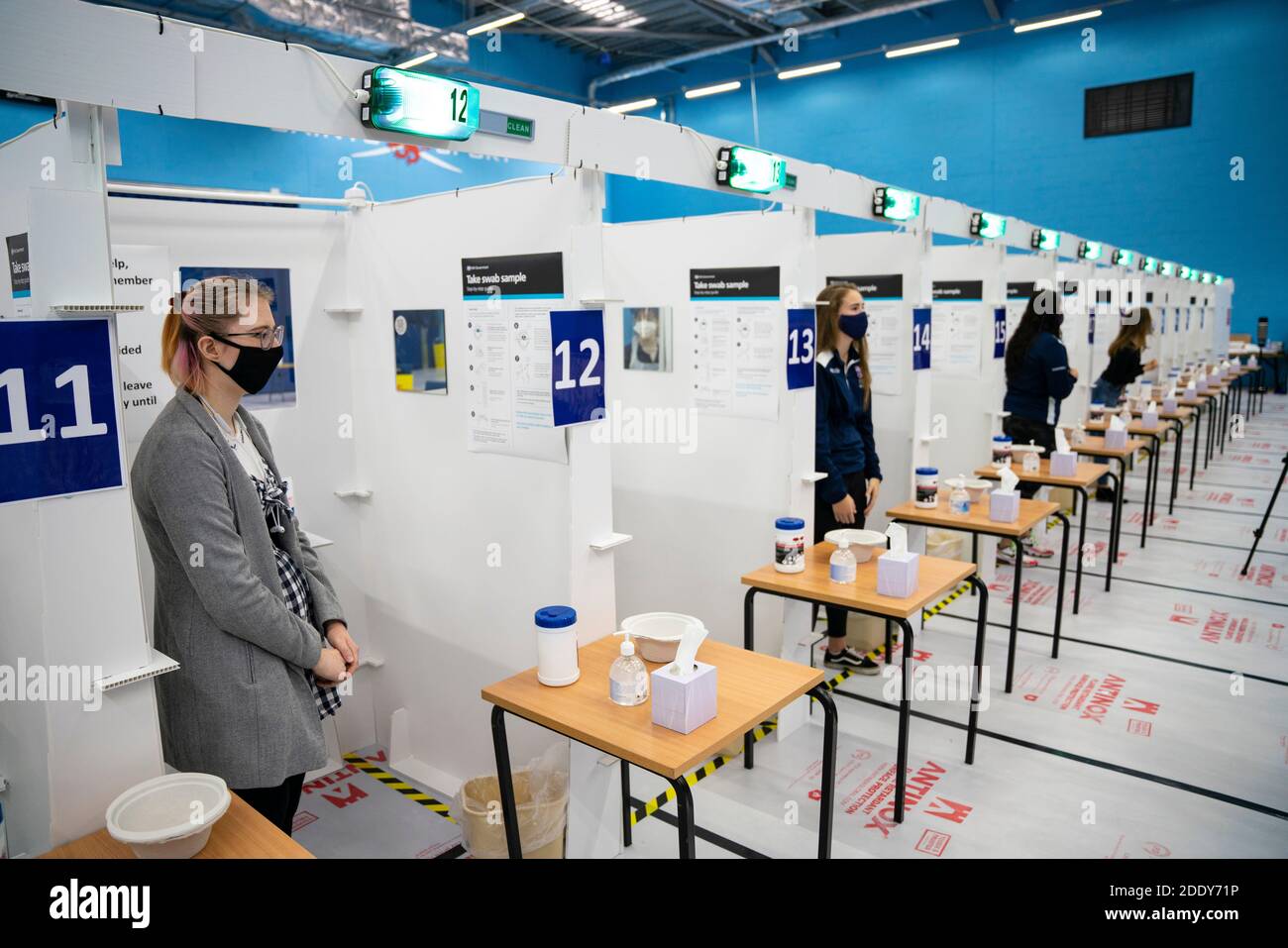 St Andrews, Scozia, Regno Unito. 27 novembre 2020 il centro di test Covid-19 dell'Università di St Andrews aprirà domani 28 novembre. St Andrews è una delle università scozzesi supportate dal governo scozzese per effettuare test sugli studenti prima di tornare a casa per le vacanze di Natale. Si prevede di sottoporre a test fino a 1500 studenti al giorno. I volontari che effettuano i test sono studenti di medicina dell'università. Nella foto, lo studente volontario viene sottoposto a test autogestito in strutture appositamente costruite all'interno della sala sportiva. Iain Masterton/Alamy Live News Foto Stock