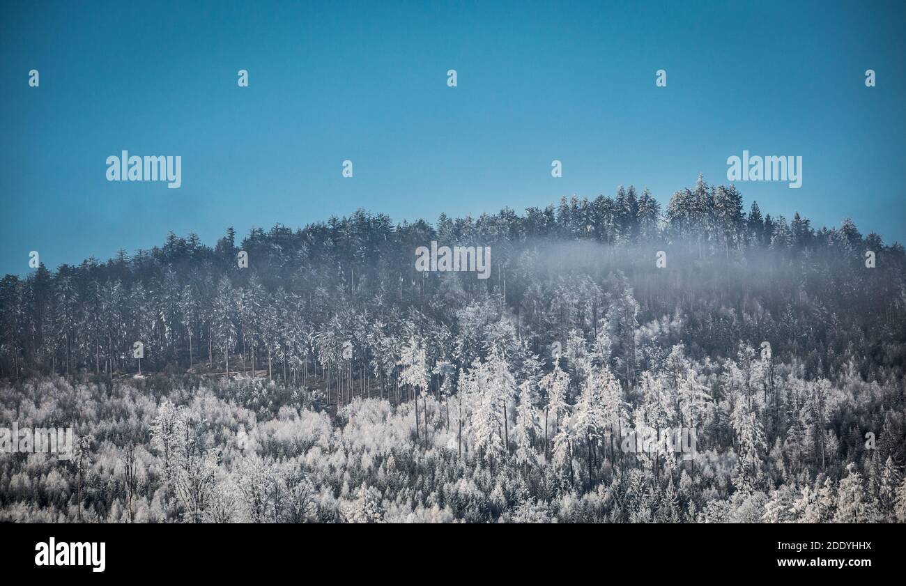 Neve nelle montagne del Waldviertel, Austria, Europa Foto Stock