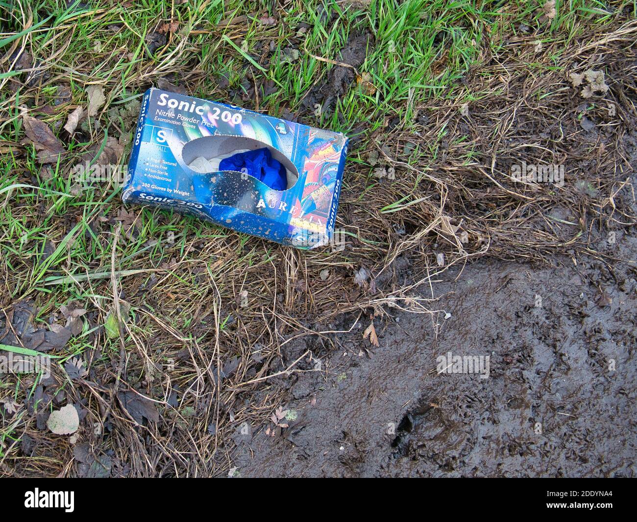 Una scatola quasi vuota di guanti in nitrile DPI scartata sconsideratamente a lato di una corsia di campagna, causando danni ambientali. Foto Stock