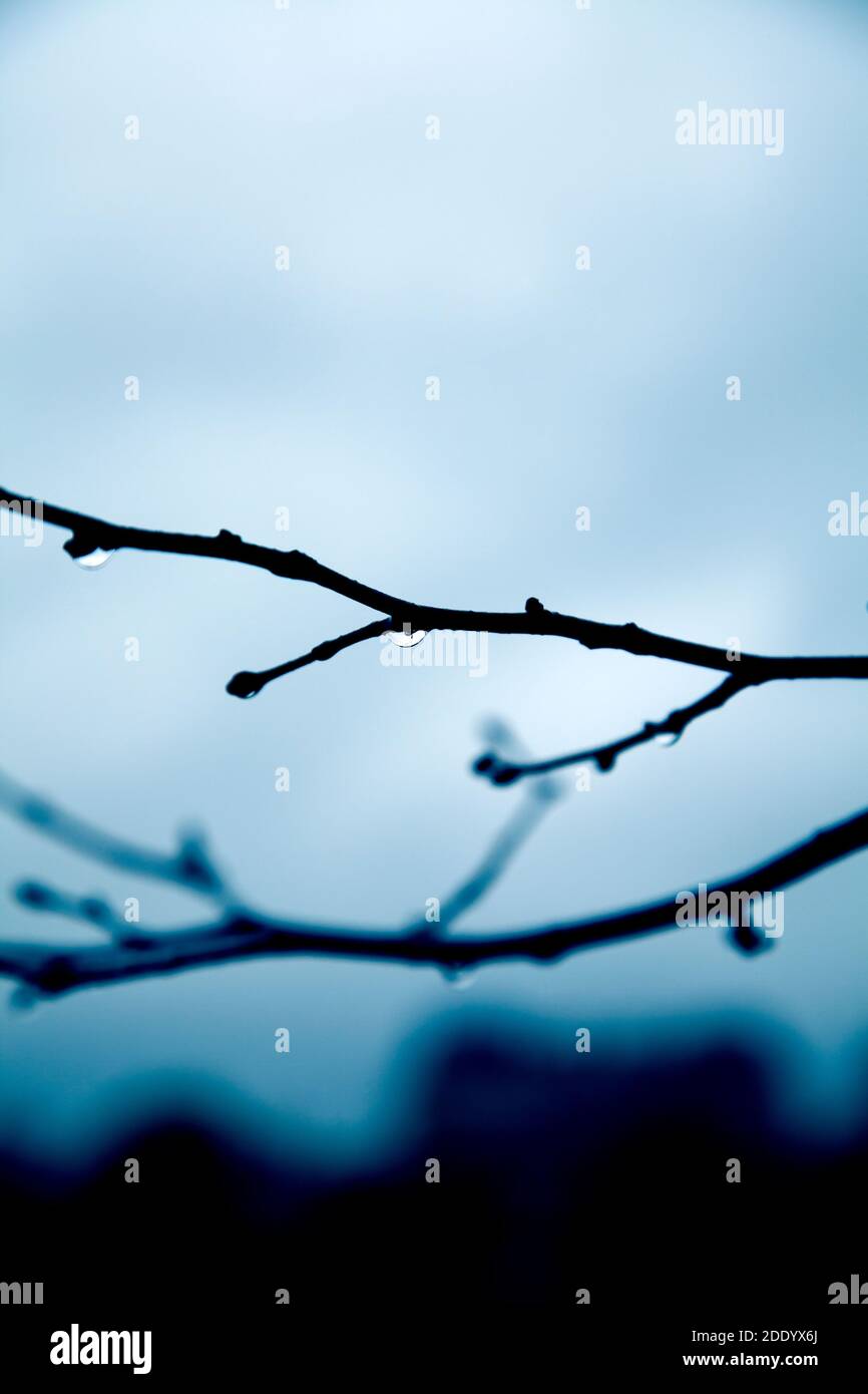 Goccioline d'acqua che si aggirano dalla diramazione Foto Stock
