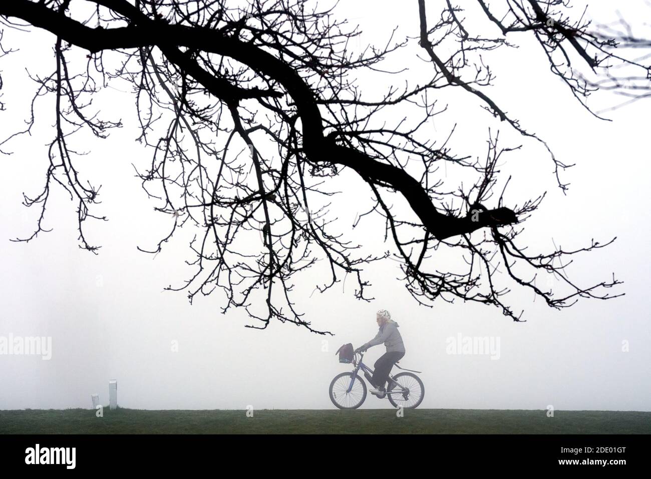 Un ciclista attraversa la nebbia a Bushy Park, a sud-ovest di Londra, dopo che le temperature notturne nell'Inghilterra meridionale sono scese al di sotto del gelo. Data immagine: Venerdì 27 novembre 2020. Il credito fotografico dovrebbe essere: John Walton/PA Wire Foto Stock