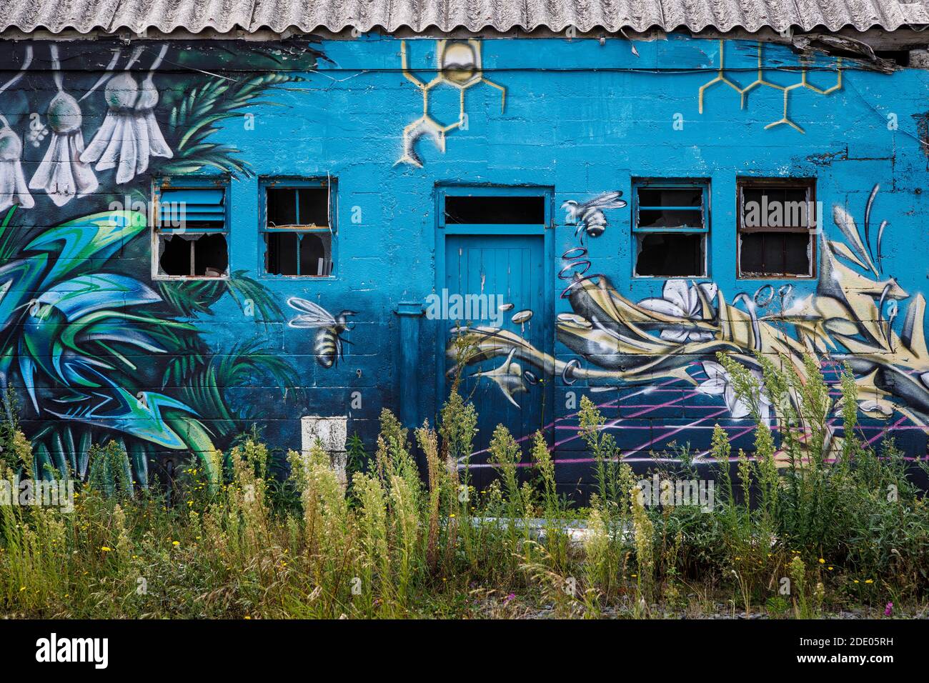 Dismesso annesso utilizzato per un grande murale di tela sul tema delle api da giardino. Arte pubblica a Christchurch, Nuova Zelanda. Foto Stock