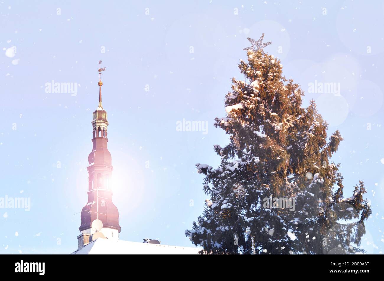Albero di Natale nella Piazza del Municipio di Tallinn, giorno invernale innevato a Tallinn, Estonia Foto Stock