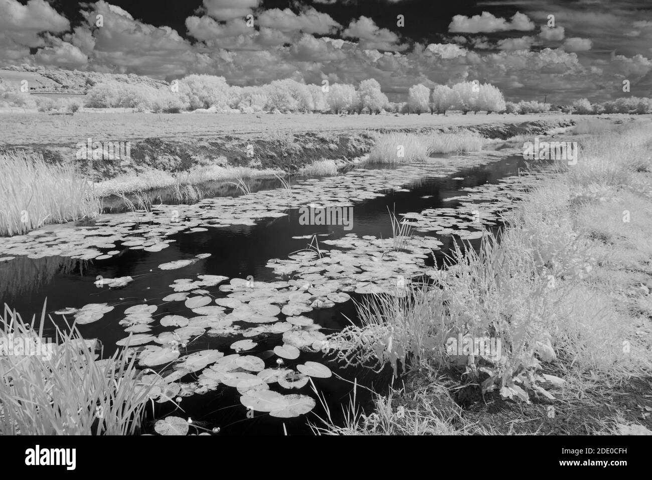 Immagini a infrarossi che si affacciano su aller Moor e Middle Moor ai livelli del Somerset con il fiume Sowey in primo piano, in una giornata estiva. Foto Stock