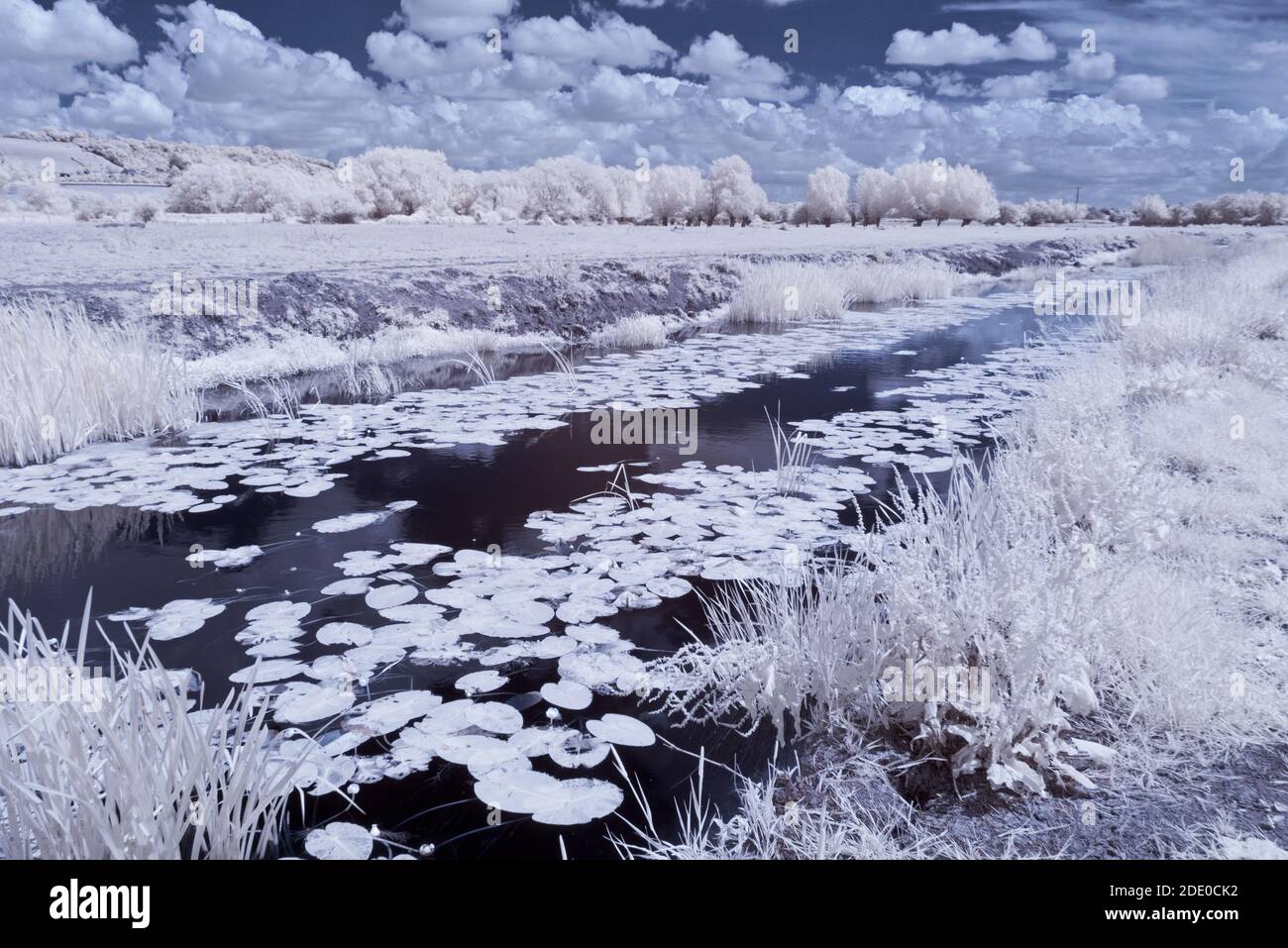 Immagini a infrarossi che si affacciano su aller Moor e Middle Moor ai livelli del Somerset con il fiume Sowey in primo piano, in una giornata estiva. Foto Stock